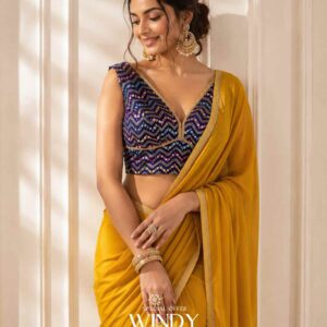 Chiffon Saree, paired beautifully with a richly detailed Embroidery Jacket.
